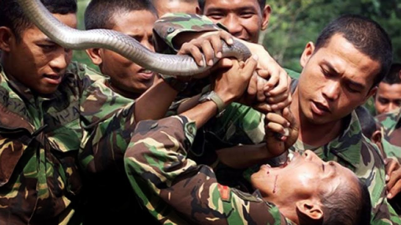Ternyata Seperti ini Latihan Kopassus yang dianggap Brutal Dunia