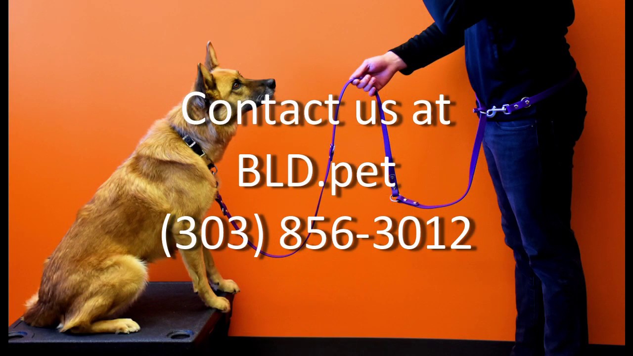 The Atlas Leash by Bold Lead Designs