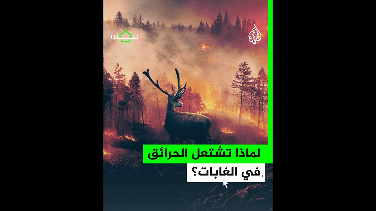 لماذا تشتعل الحرائق في الغابات؟ وما استراتيجية إطفائها؟
