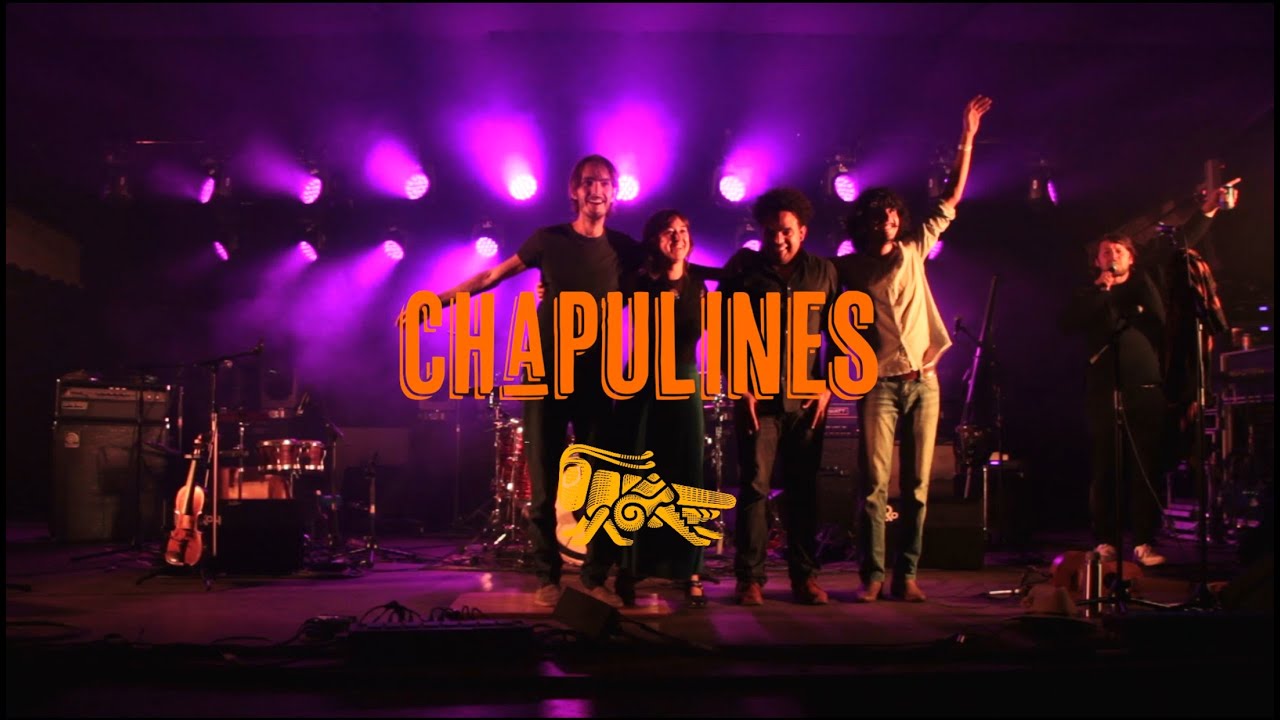 Chapulines - Acoustic and powerful