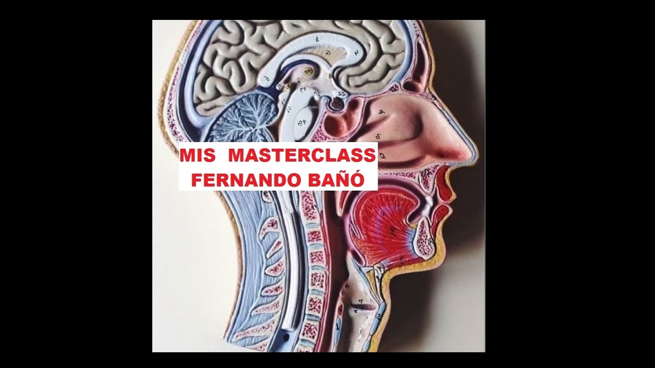 MIS MASTERCLASS DE TÉCNICA Y FISIOLOGÍA