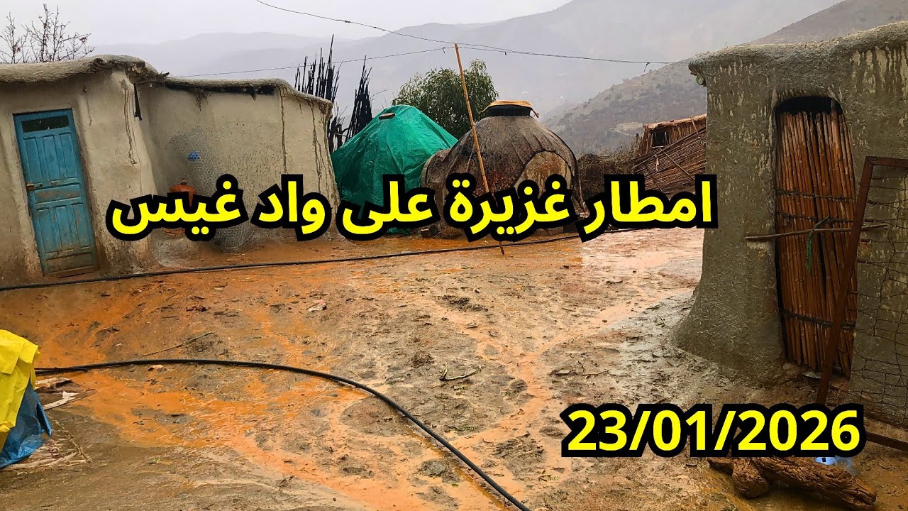 لحضة وصول امطار غزيرة إلى قرية واد غيس ومزرعة خضراء مزدهرة... الحمد لله 23/01/2026 إقليم الحسيمة 