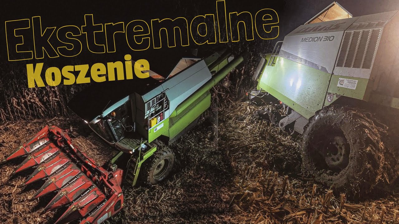 🇵🇱 Ekstremalne Koszenie Kukurydzy na Ziarno 2023 ☆2x ☆ Claas Medion 310☆