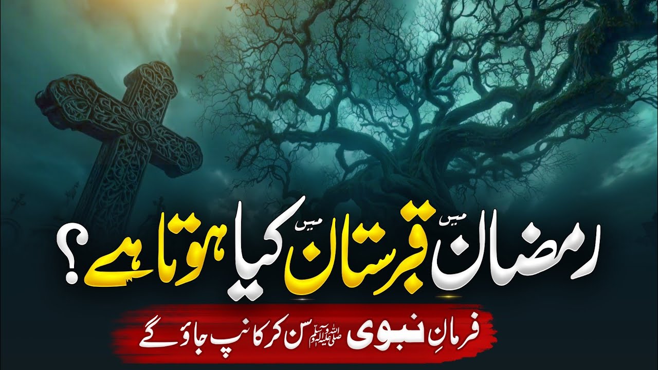 Ramzan men Qabar Main Kia Hota Hai | Shocking Reality | Islamic Education | Almufeed Islamic