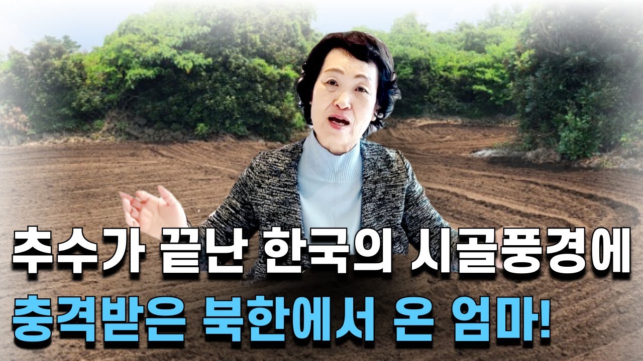 추수가 끝난 밭이 이렇게 깨끗하다는 게 말이 됩니까?