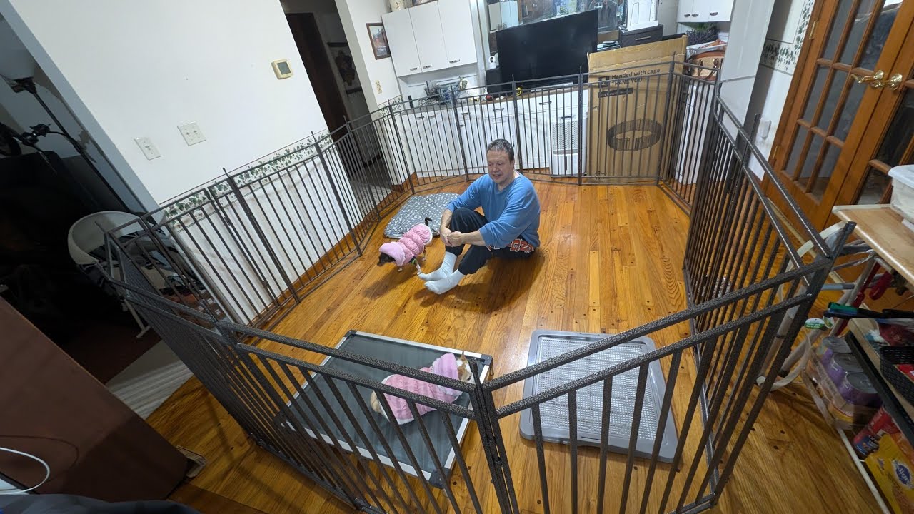 Petorldog Dog Fence Indoor/Outdoor for Yard Dog Playpen Review 