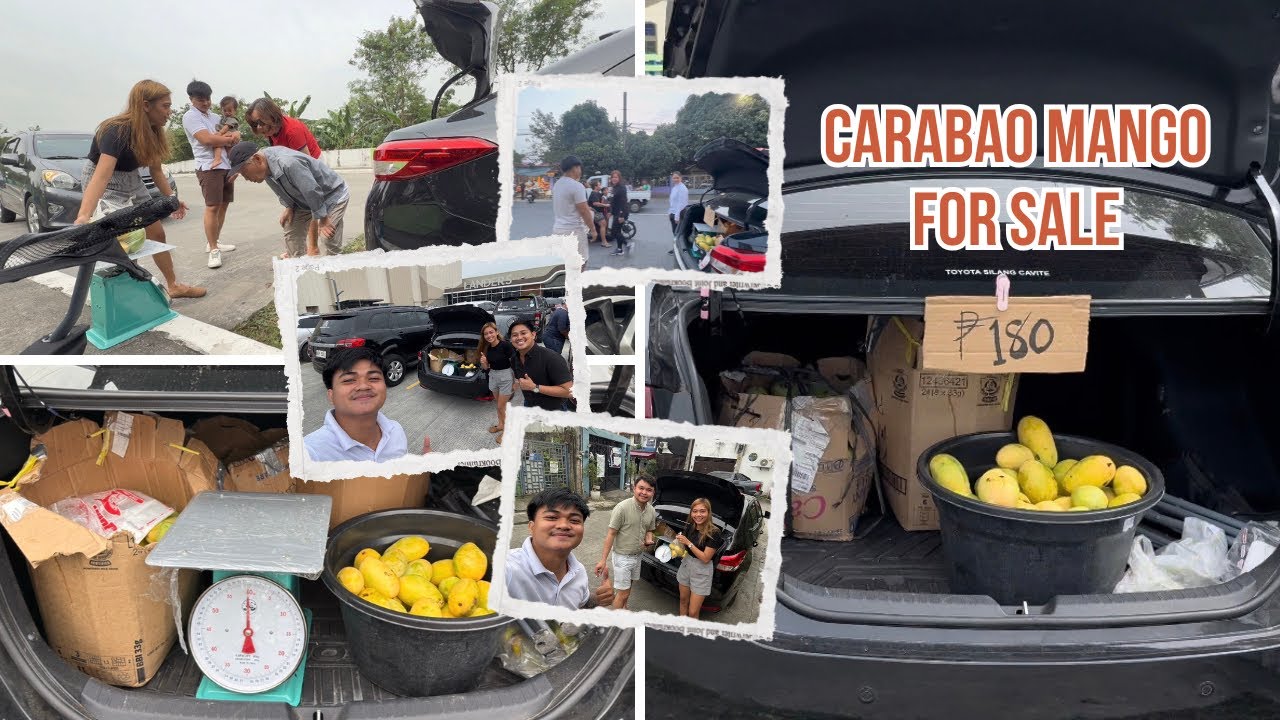 CARABAO MANGO FOR SALE FROM PANGASINAN 