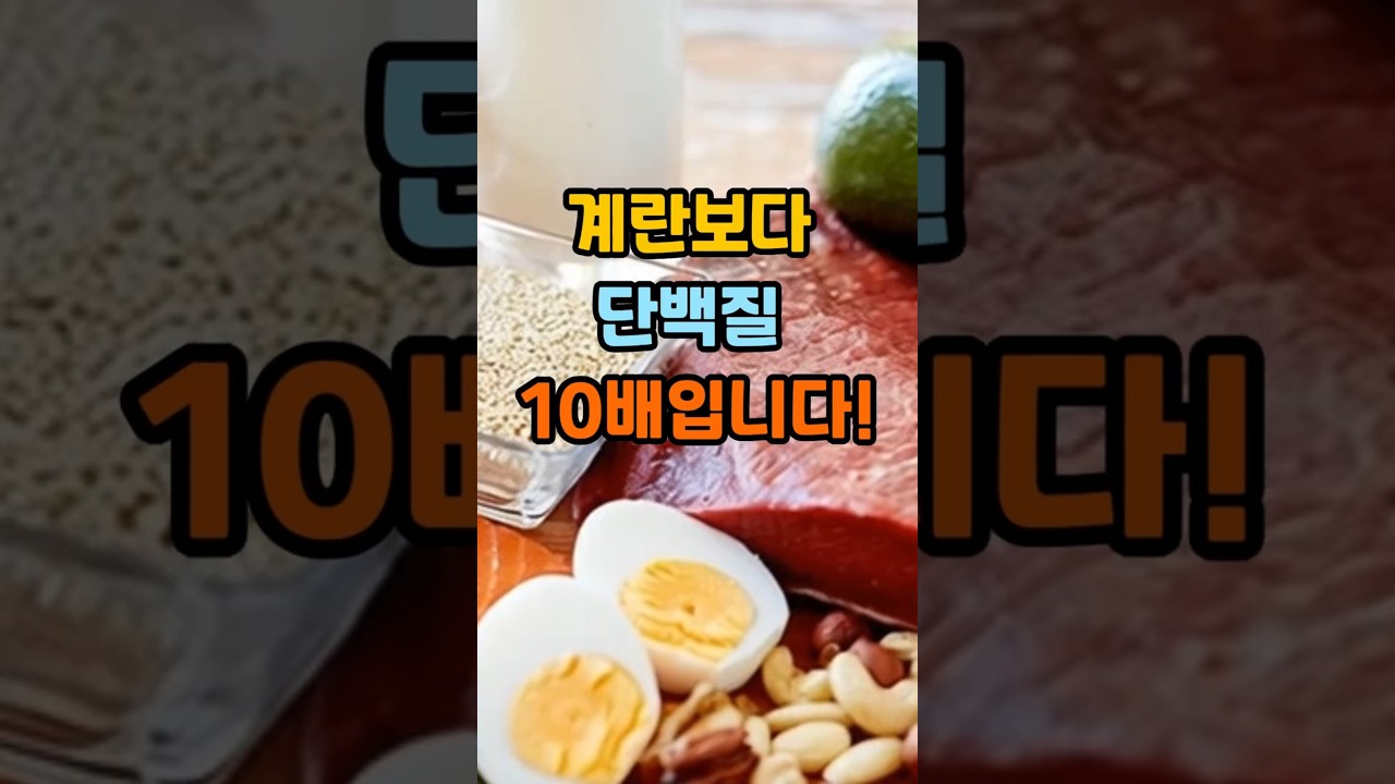 계란보다 단백질 10배 #중년건강 #당뇨 #치매 #MiddleAgedHealth
