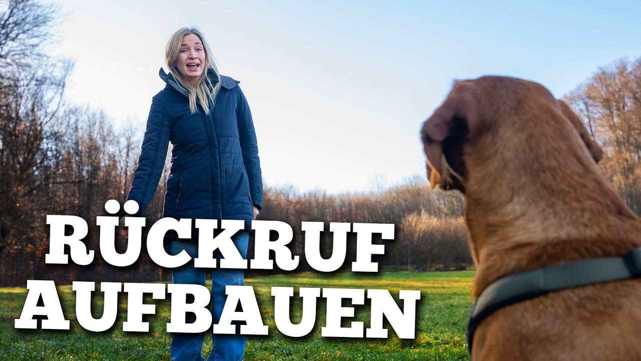 Der perfekte Rückruf: So kommt dein Hund wirklich IMMER zurück