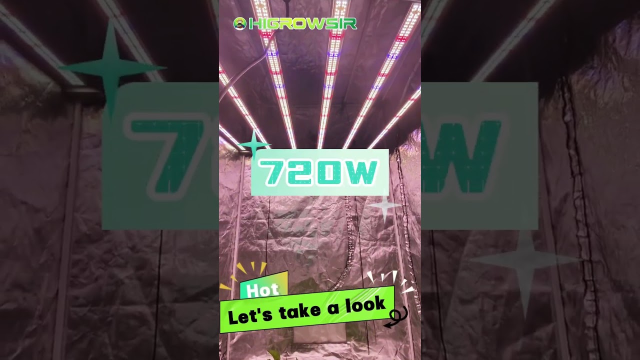 Full Spectrum led 720W Power for Indoor Horticultural lighting #growth #led