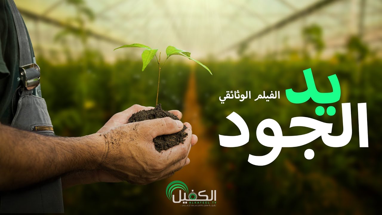 الفيلم الوثائقي | يد الجود