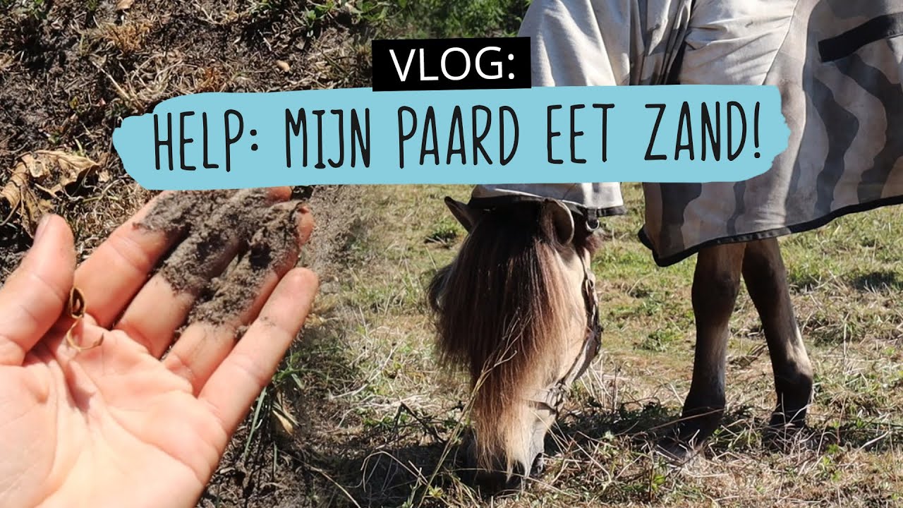Help: Mijn paard EET ZAND | #126 | HorseFitShop