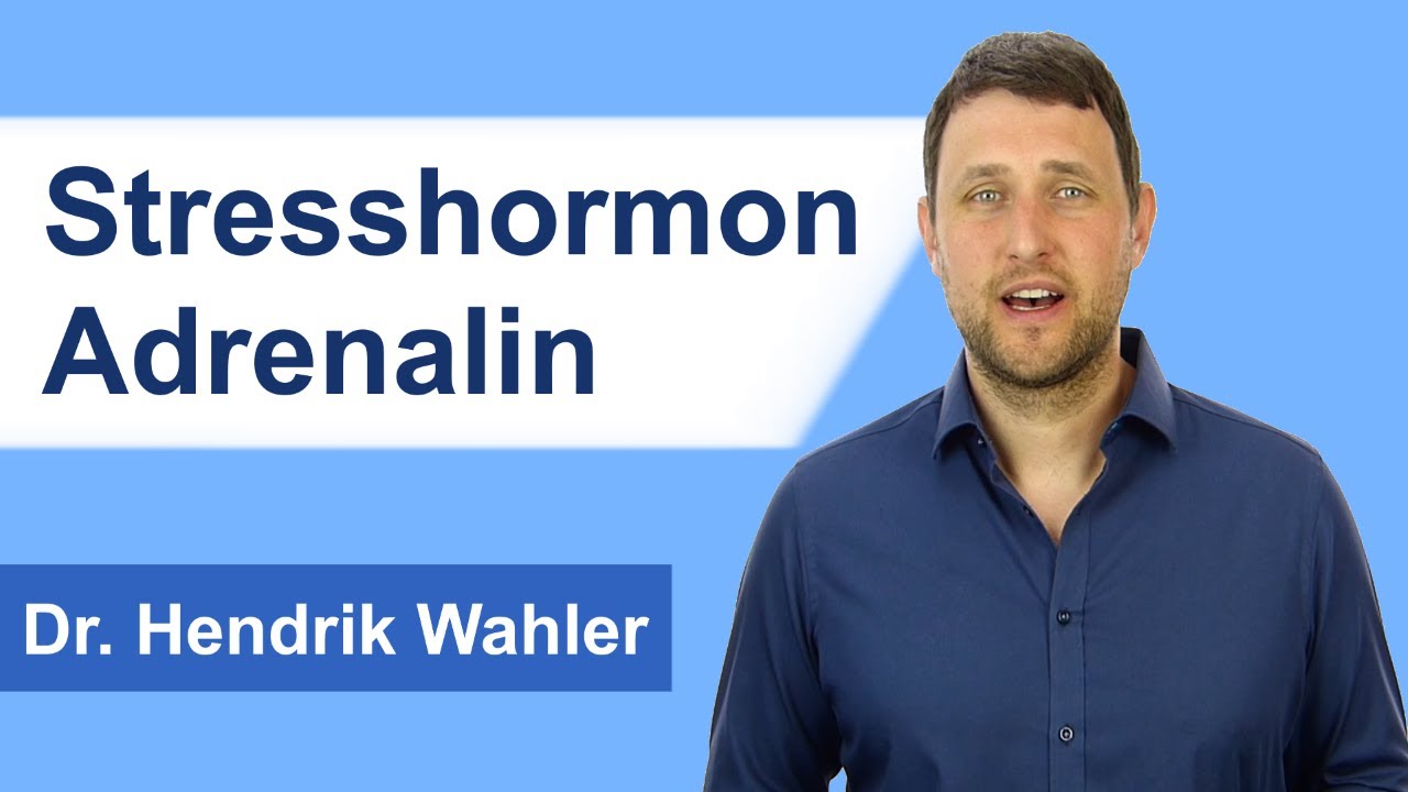 Adrenalin: Das bewirkt das Stresshormon im Körper