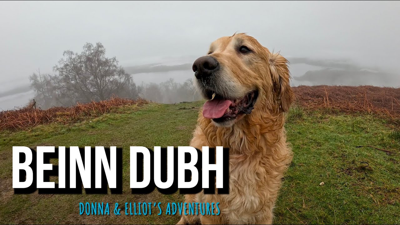 Mid Hill Mud Pupper - Beinn Dubh