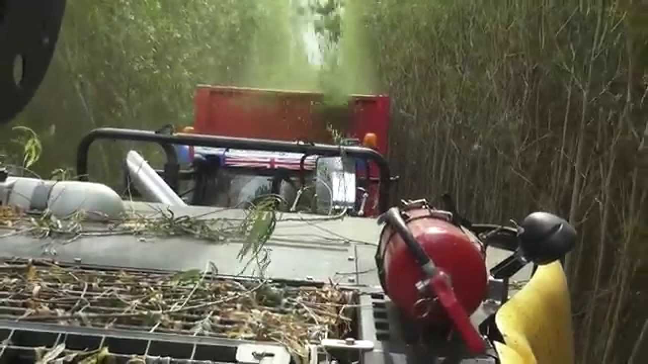 Metcalfe Farms Willow (Annan) (IGGESUND) gtritchie5