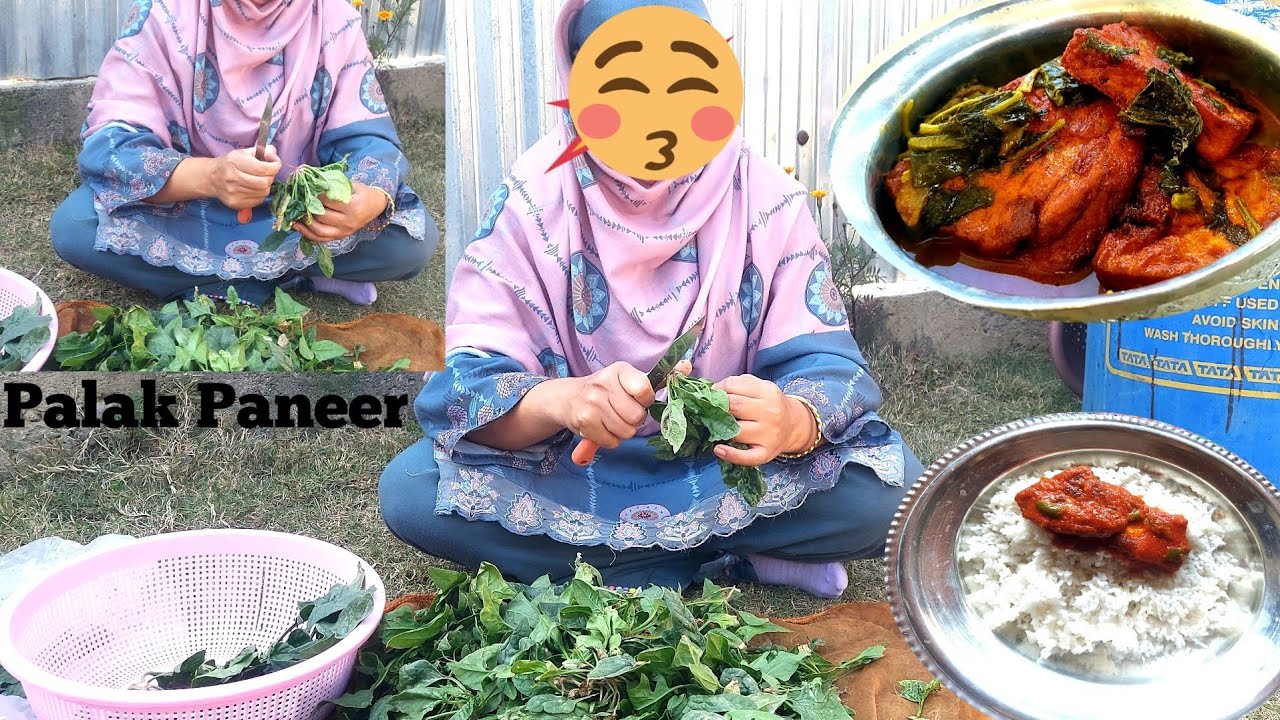 Palak paneer recipe |yeh recipe aaj pheli bar banaya