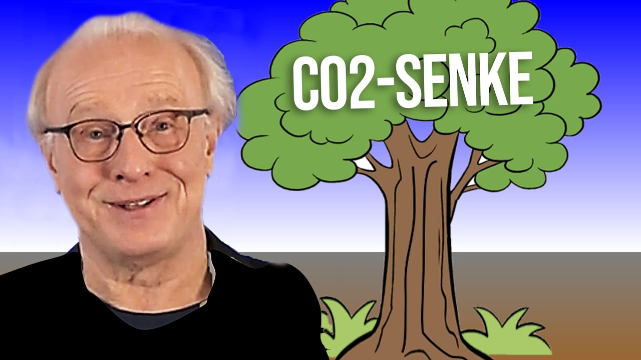 Wieviel n&uuml;tzt WALD als CO2-SENKE?  | #48 Energie und Klima