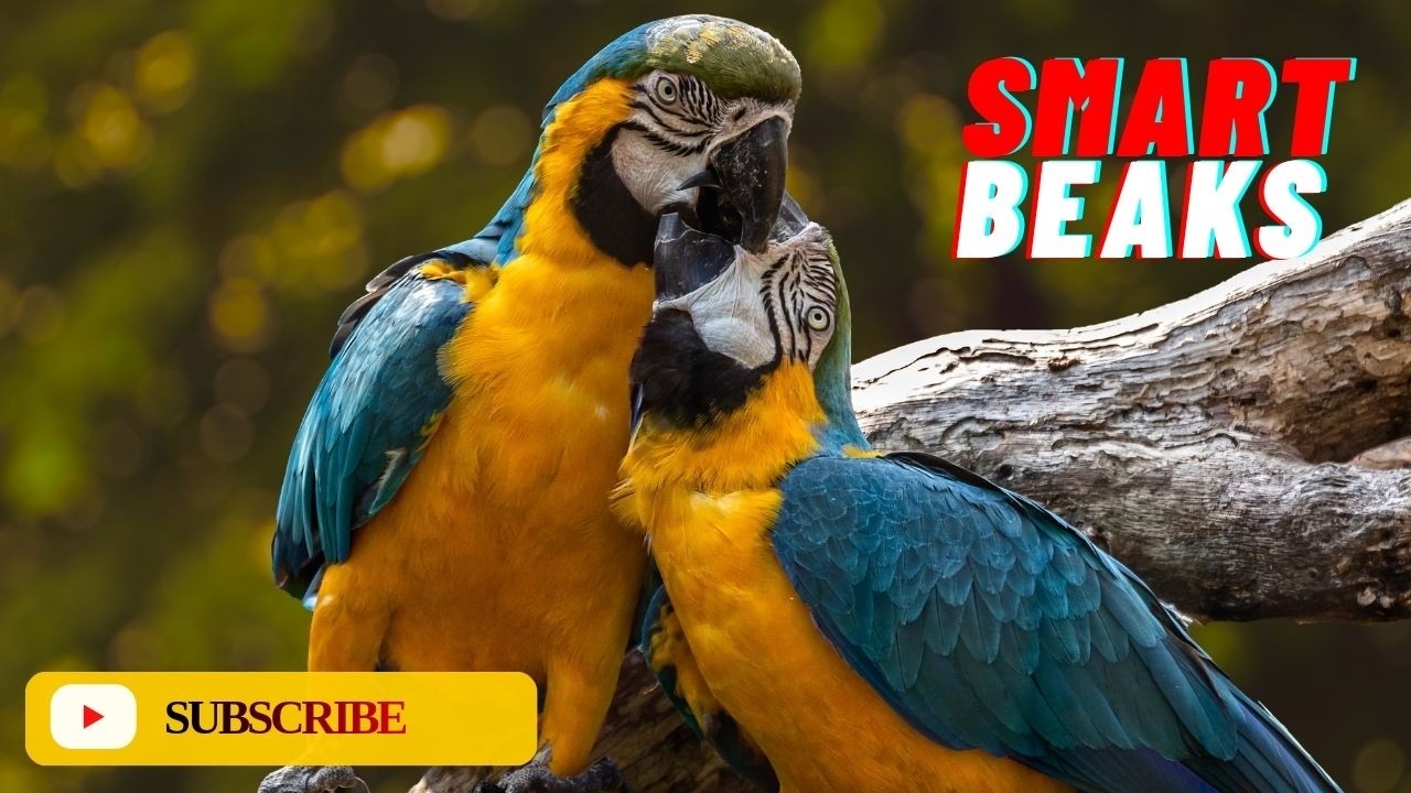 Parrot: Insane Biology and Incredible True Facts