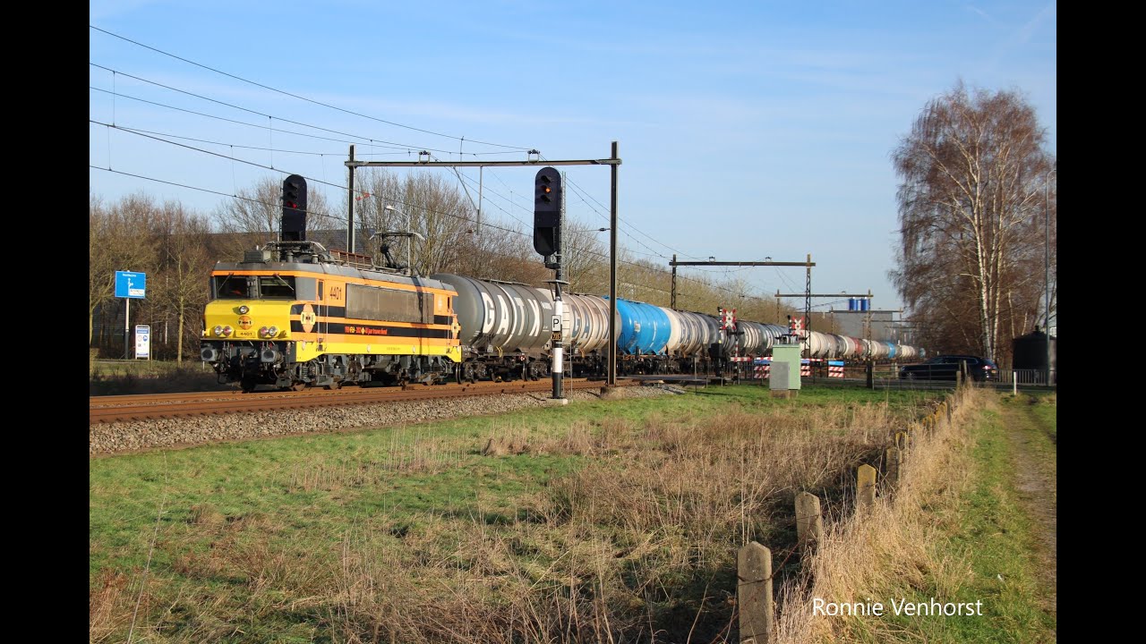 Harselaar 17 januari 2026