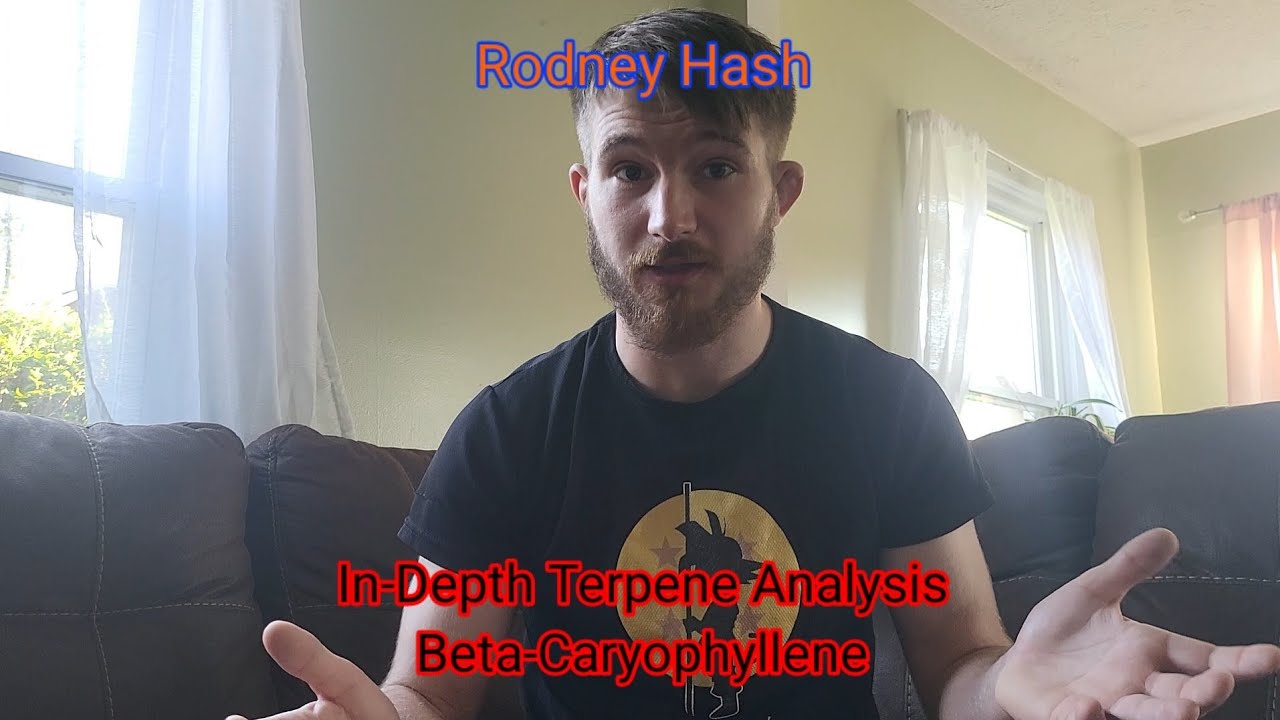 In Depth Terpene Analysis of Beta - Caryophyllene by Rodney Hash