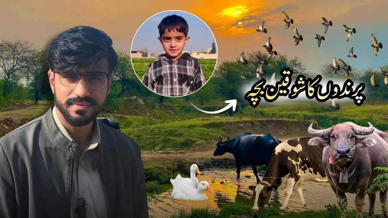 Village Life | معصوم بچے کی جانوروں سے محبت 🐥🦆🐄 | Desi Village Vlog #villagelife 