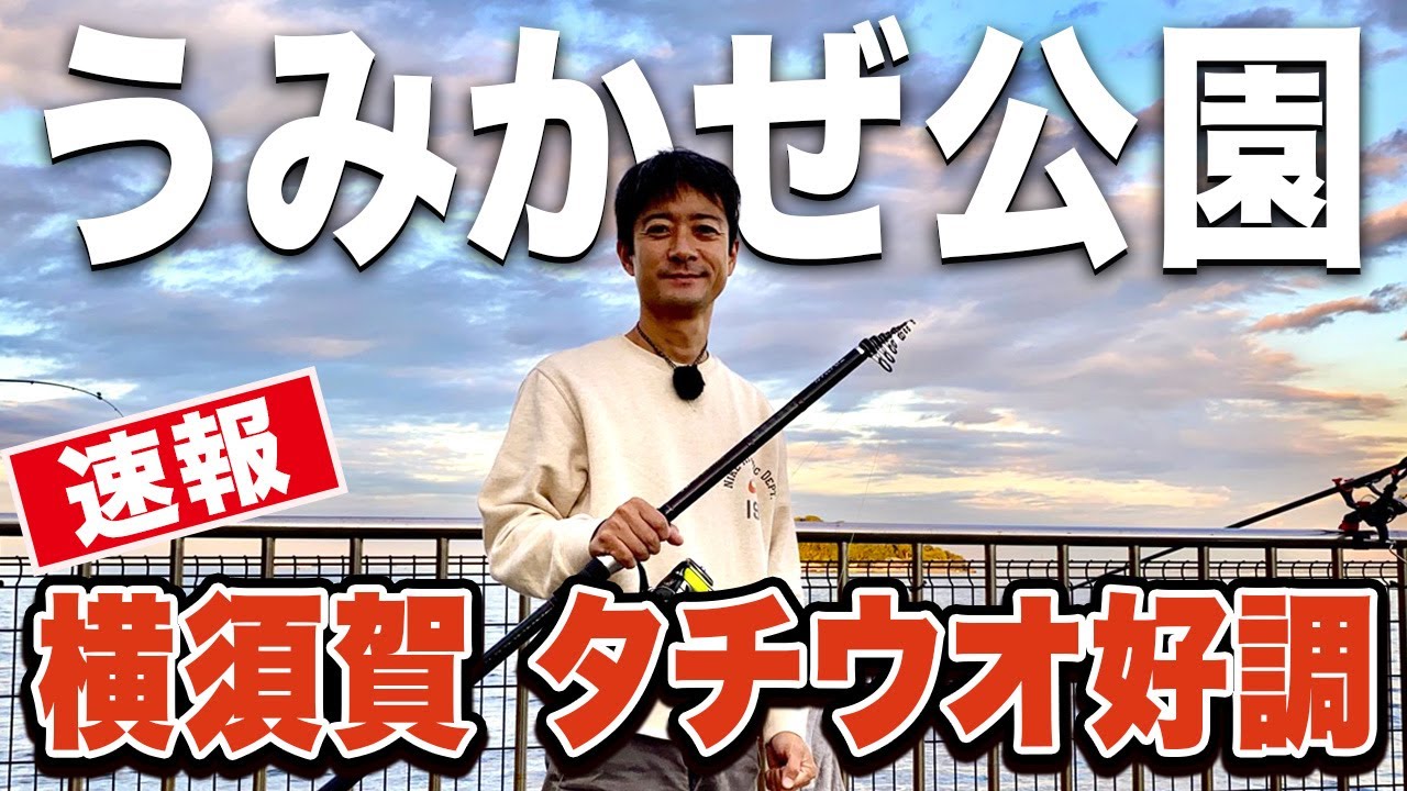 【横須賀うみかぜ公園】青イソメから太刀魚を釣る方法を“実際に釣って”紹介！泳がせ釣りの餌は現地調達
