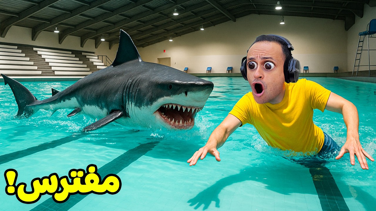 مواجهة مخاوفي | Sharks and Minnows !! 🦈😱