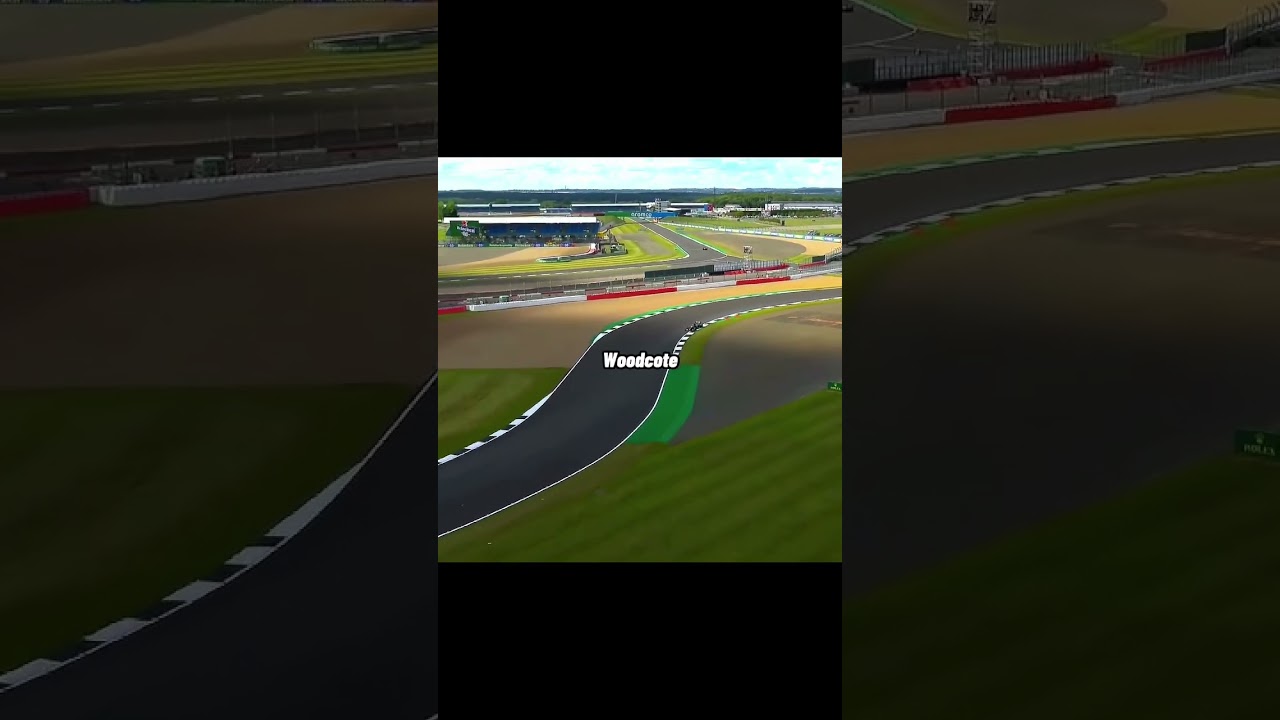 When Lewis Hamilton Won Silverstone On 3 Wheels 👀🤯 #shorts #f1 #lewishamilton