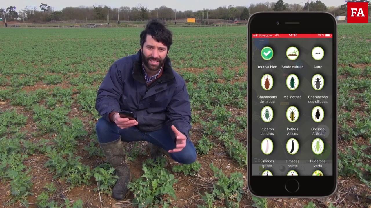 Une application pour anticiper les traitements phytosanitaires
