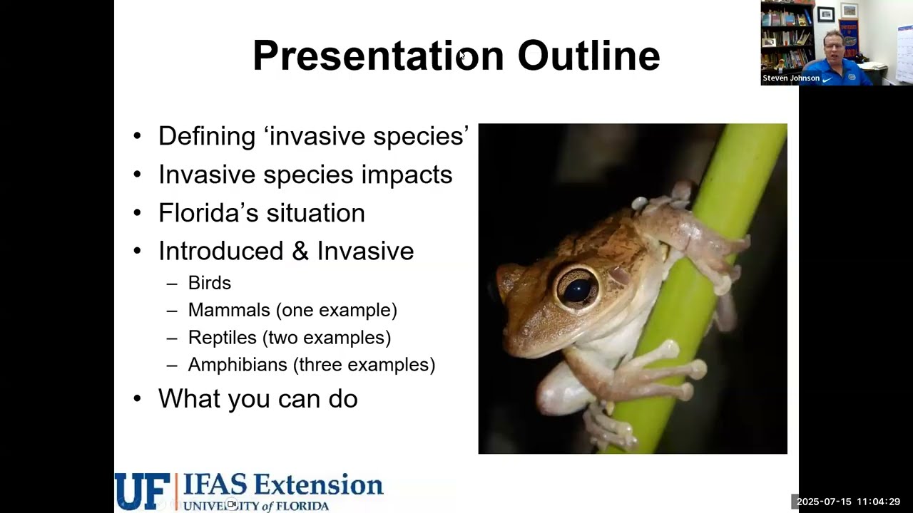 Invasive Animals in Your Florida Landscape