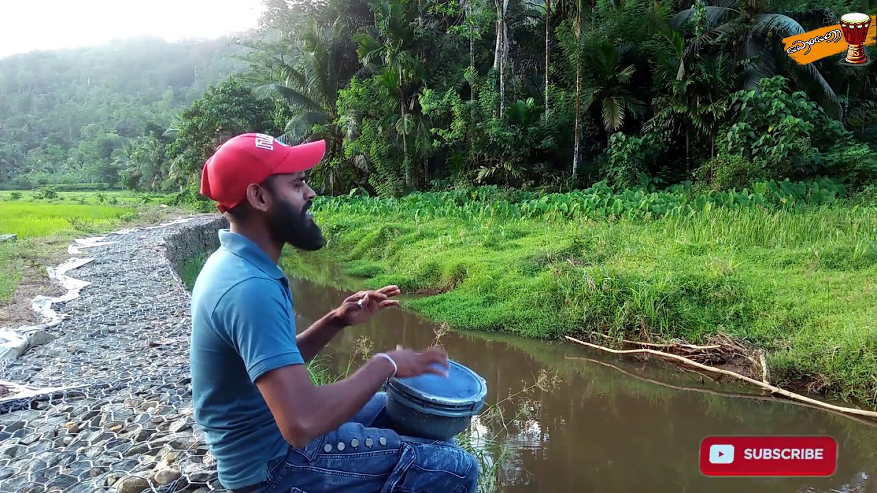 මී පිරුණු සුවඳ මල් වනේ | Mee Pirunu Suwada  Bongo Cover | Bongo Ruwan