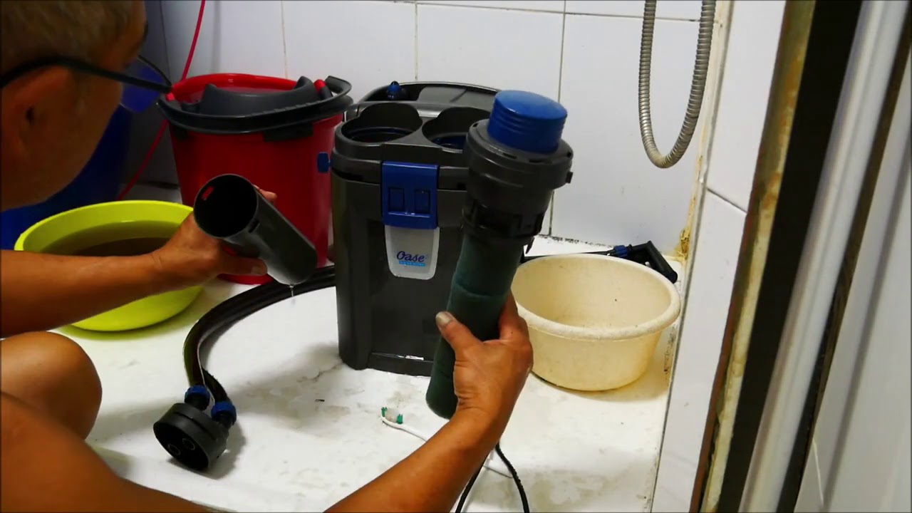 entretiens du filtre OASE  250 thermo