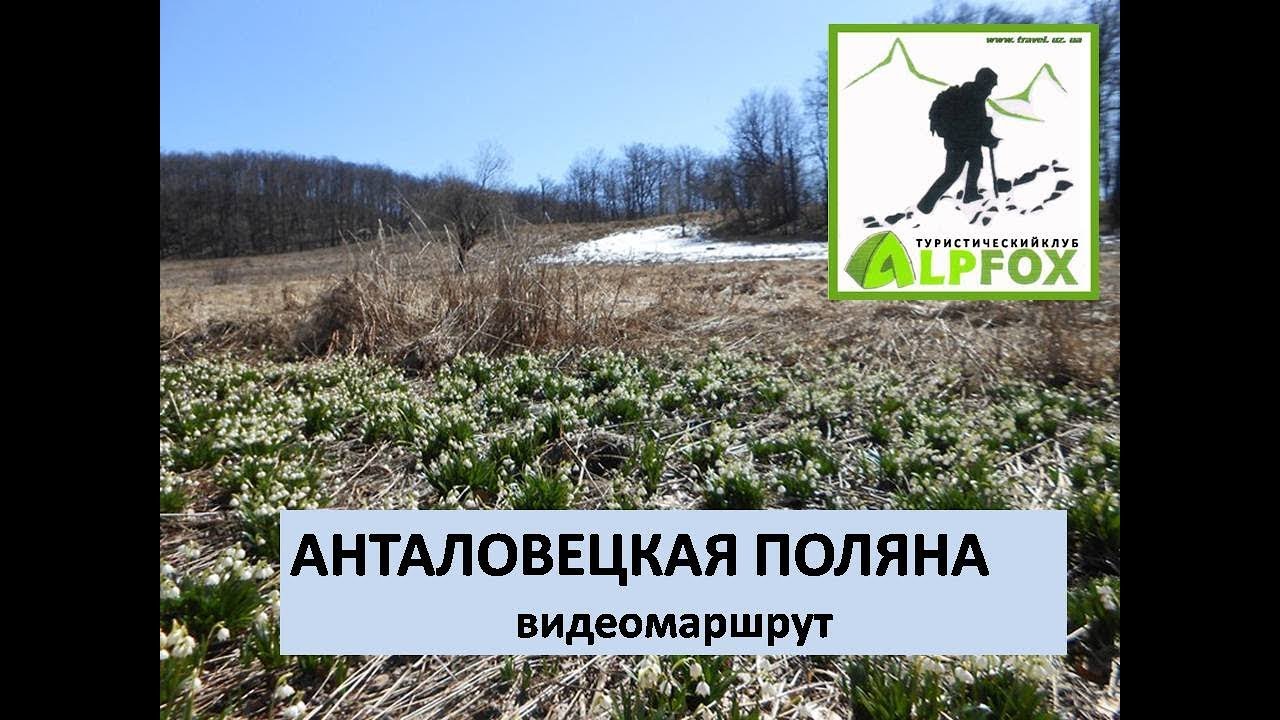Анталовецкая поляна (видеомаршрут)