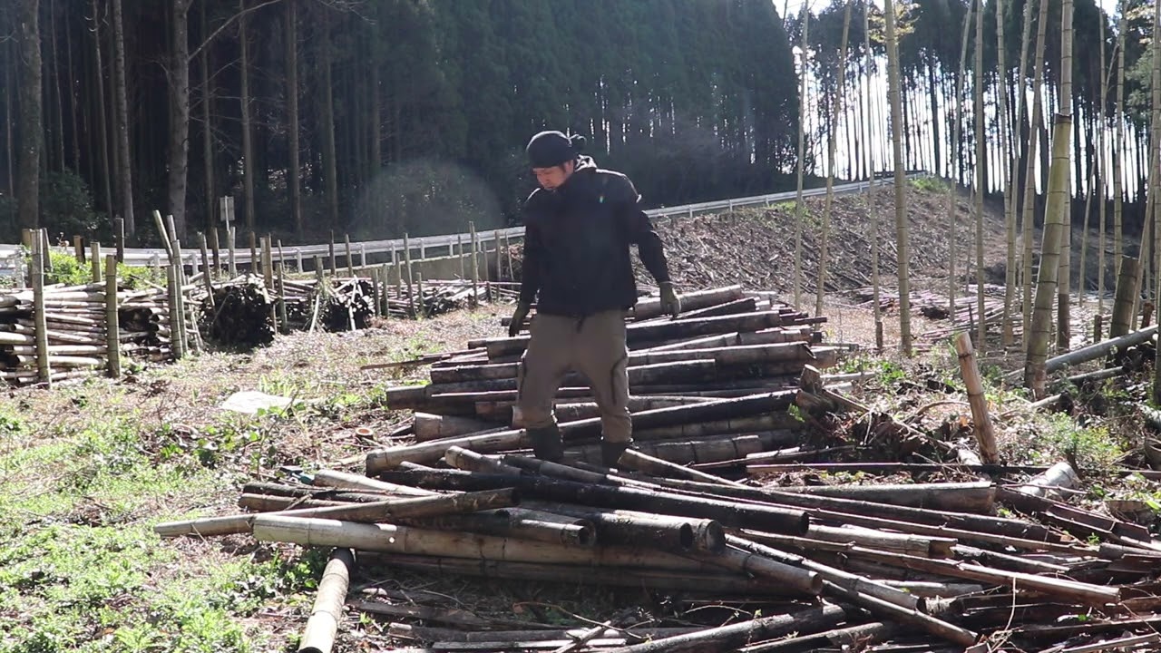２年以上たった竹でも意外と腐っていないのが分かった｜竹藪整備