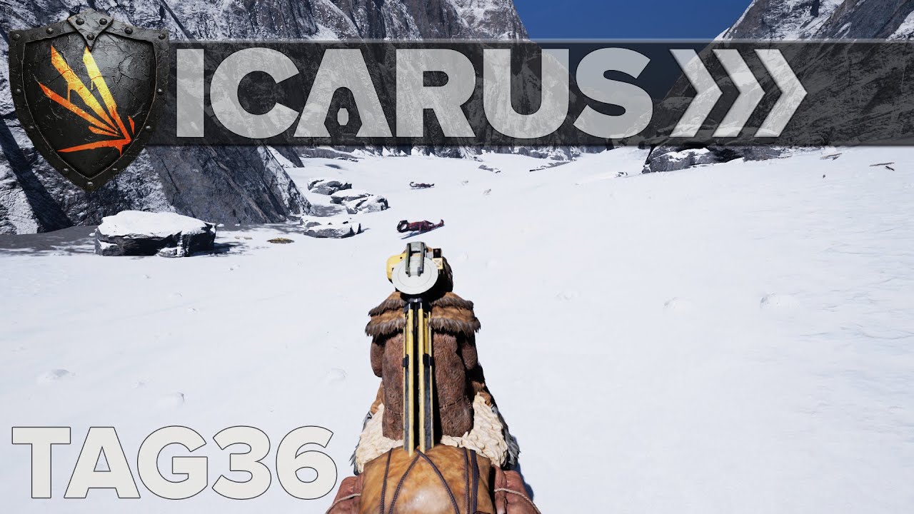Die erste Operation -ICARUS- Tag 36