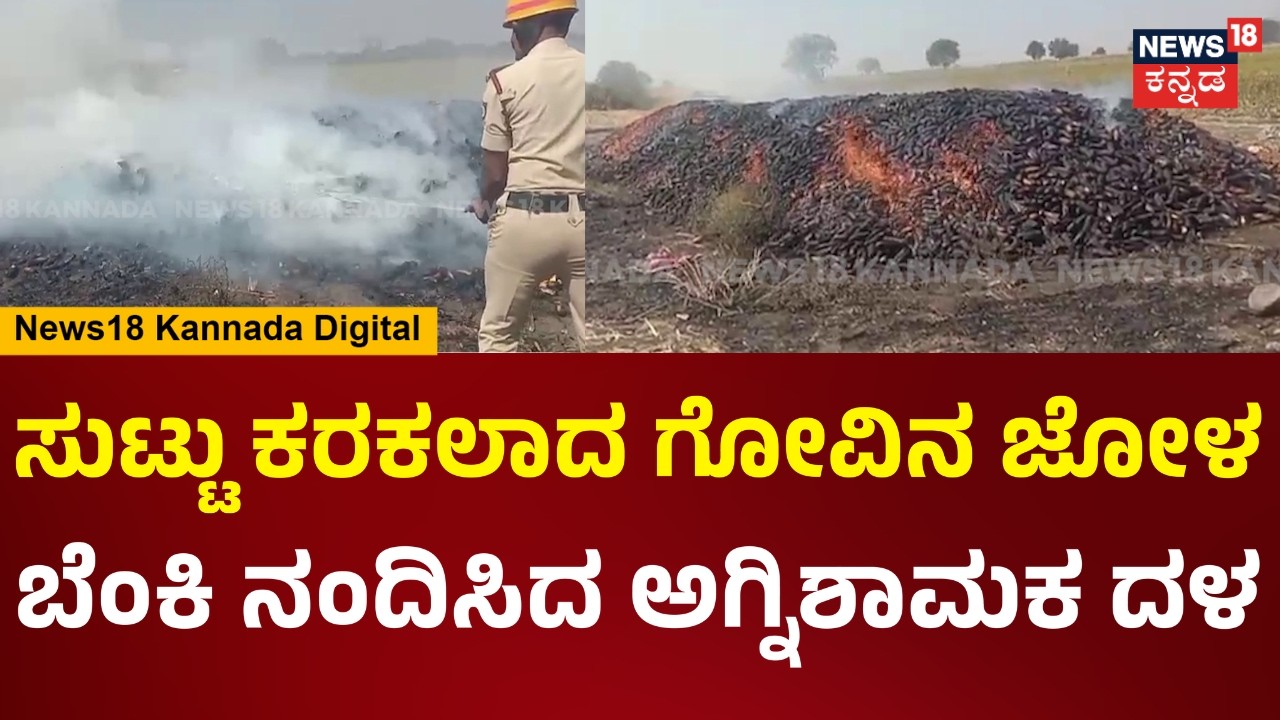 Fire Ravages Maize Crops | ಸುಟ್ಟು ಕರಕಲಾದ ಲಕ್ಷಾಂತರ ರೂ. ಮೌಲ್ಯದ ಗೋವಿನ ಜೋಳ | N18V