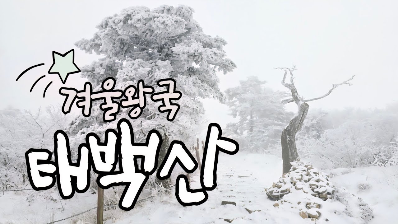 ❄️ 25년 12월 | 겨울 눈꽃산행 | Taebaeksan Mountain #강원도 #태백산 #등산