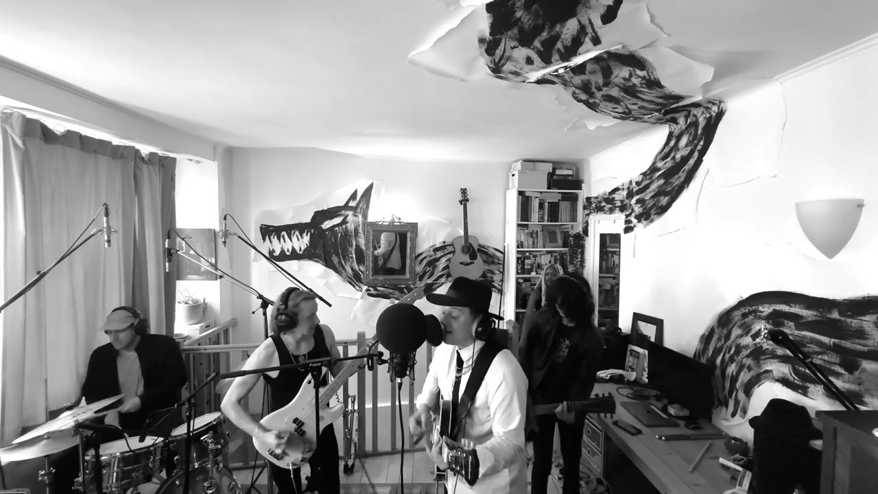 Rabbits and rats - good Afternoon Living Room Session