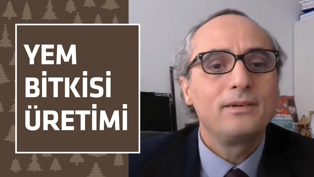 Yem Bitkisi &Uuml;retimi