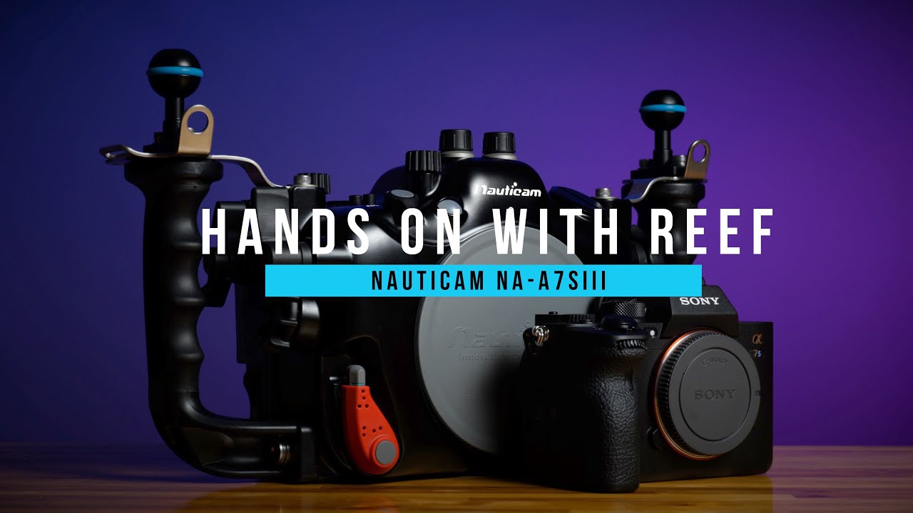 Hands on with Reef: NA A7SIII