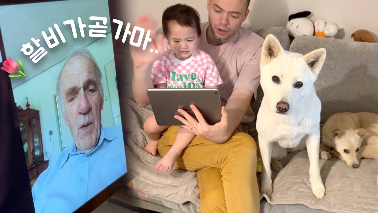 네덜란드할배 수술 후 근황.. 한국 방문 계획 여쭤보기 | 진돗개가족 vlog