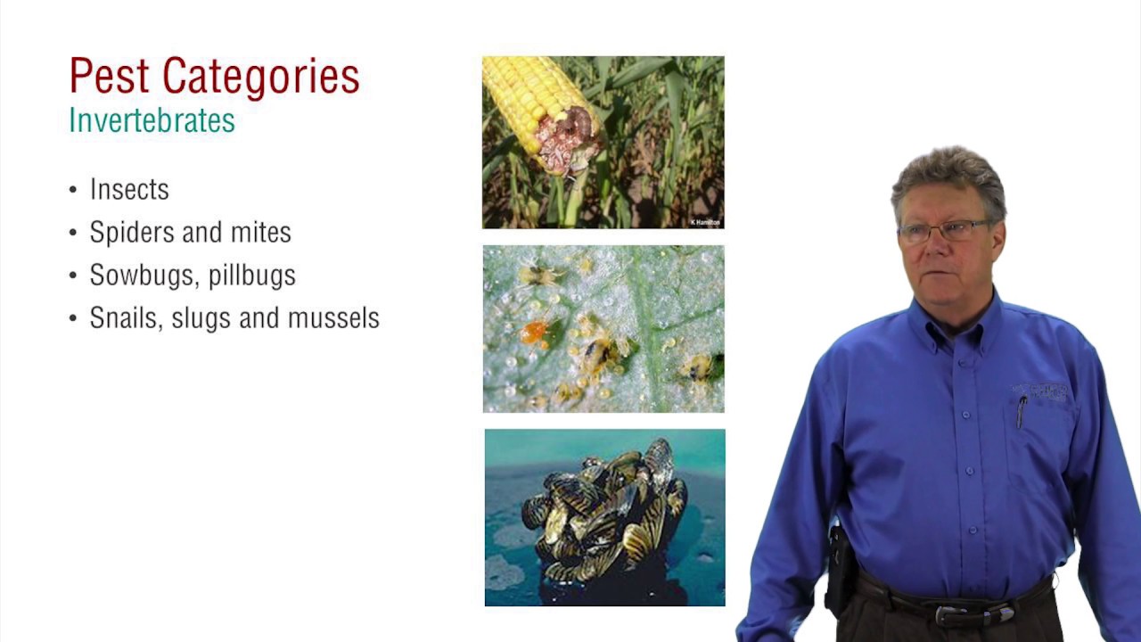 Online Pesticide Training - Pest Management