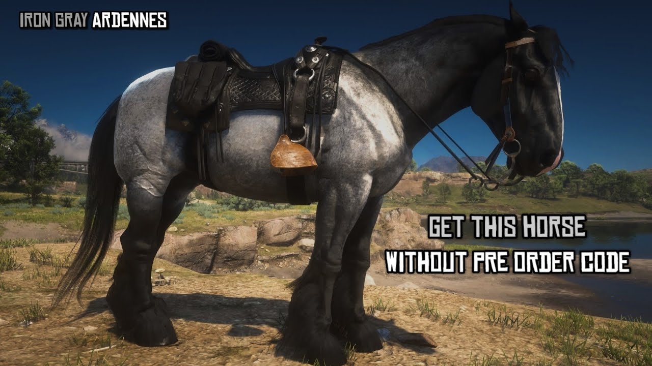 Yes...You can get a Iron Gray Ardennes without the Pre Order Code | RDR2