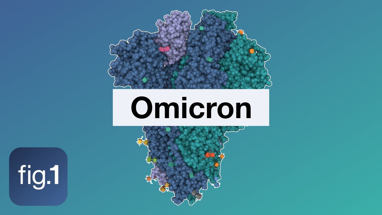 Omicron explained, December 2021