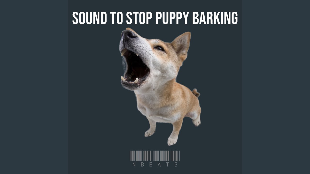 Sound to Stop Puppy Barking
