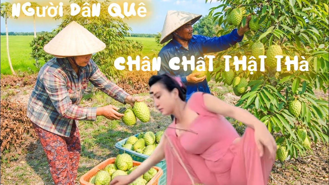 Khu 6 nông trường sông hậu &chợ ba đá 