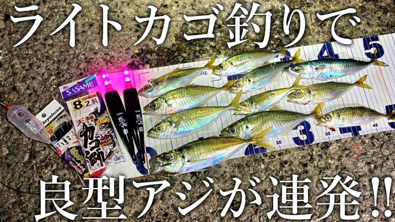 ライトカゴ釣りで良型のアジが連発！マヅメ後も釣れるお手軽なアジのカゴ釣りを紹介します【ルミカ/烈光】