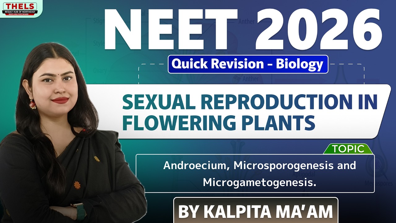 Sexual Reproduction In Flowering Plants #neet #biology #revision
