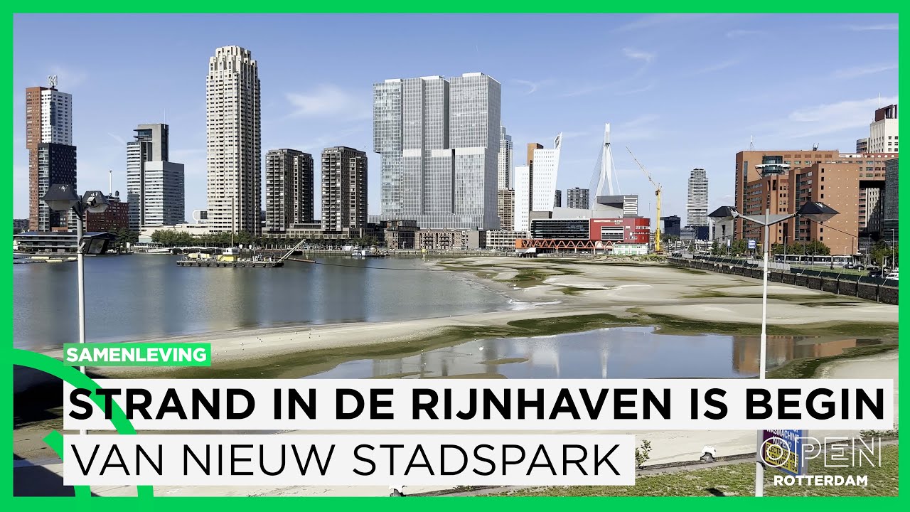 Een rondje langs de Rijnhaven; nieuw strand begin van toekomstig stadspark | SAMENLEVING