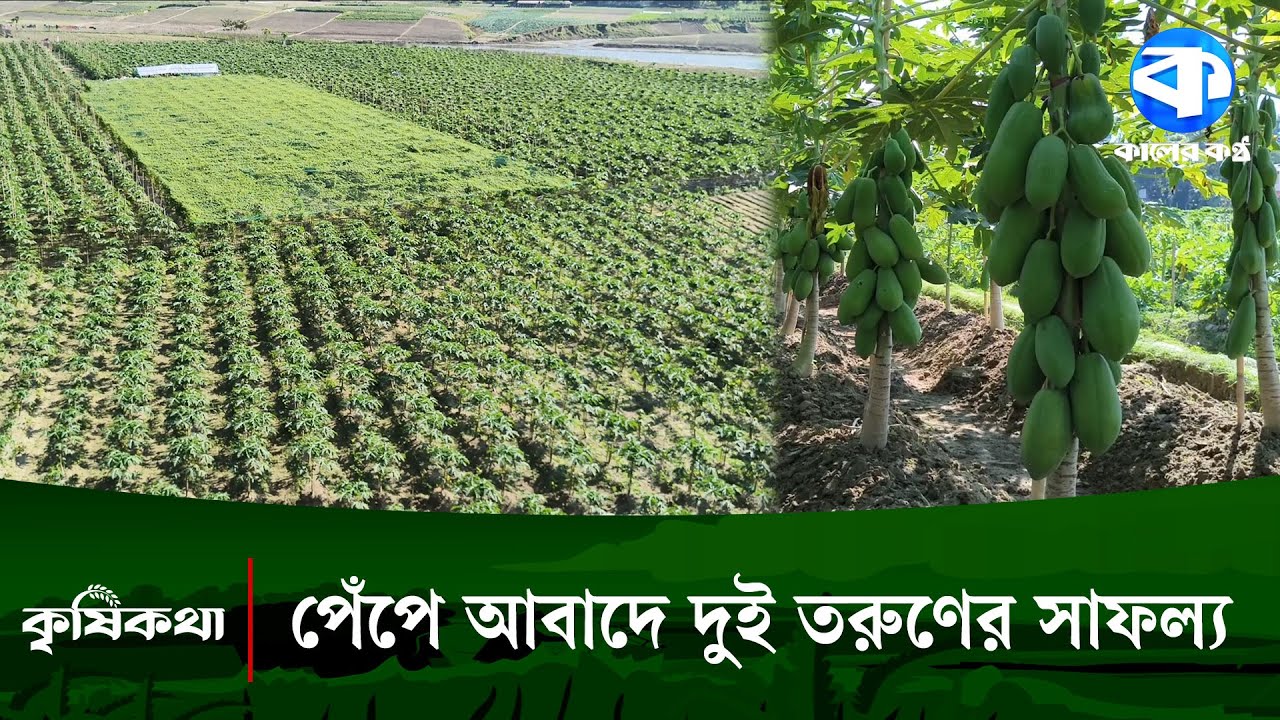মাতামুহুরী নদী তীরে দুই তরুণ কৃষি উদ্যোক্তার সাফল্য | Young Farmers Success Story | Kaler Kantho